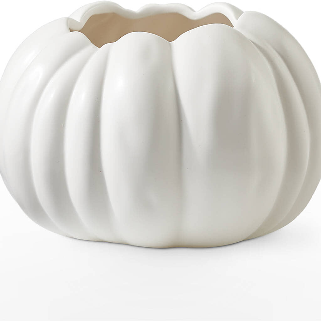 Pumpkin to Talk About Bouquet –  Meramec Florist, Steelville MO